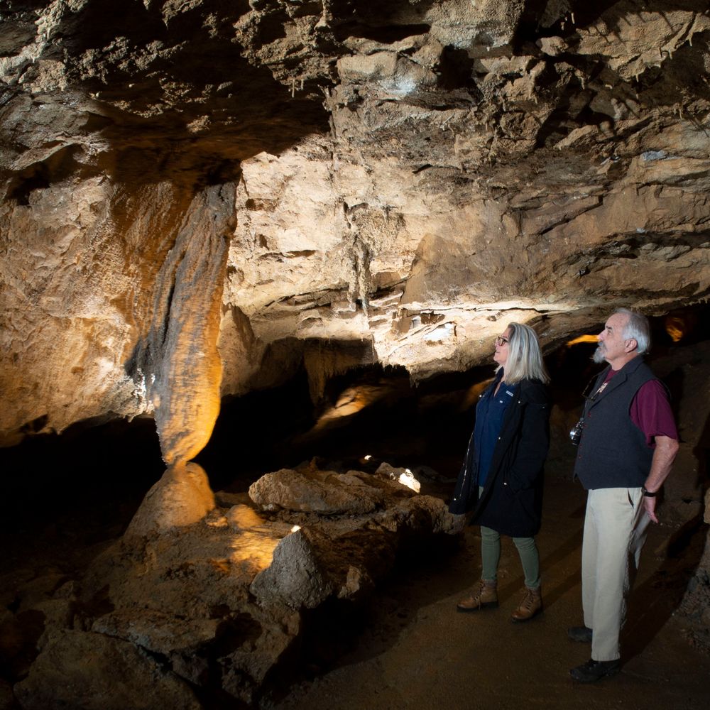 cave tours estes park co